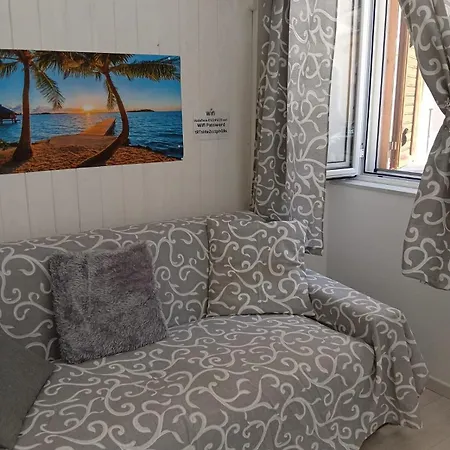 Single Nearby The *